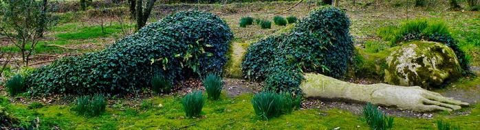 The Lost Gardens Of Sleeping Woman