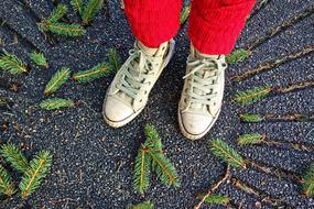 Top view of the female's sneakers and green needles on the wet road