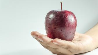 red apple on the human hand