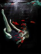 Person underwater, among the beautiful, red and orange fishes
