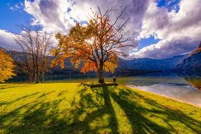 landscape of Lake Water in Slovenia