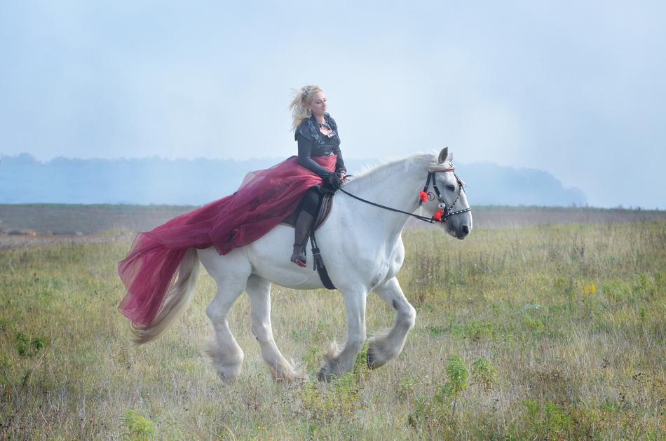 beautiful blonde woman in purple long skirt riding Gray Horse on meadow