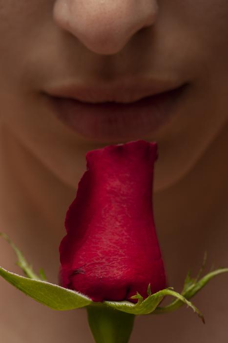picture of a woman smelling red rose