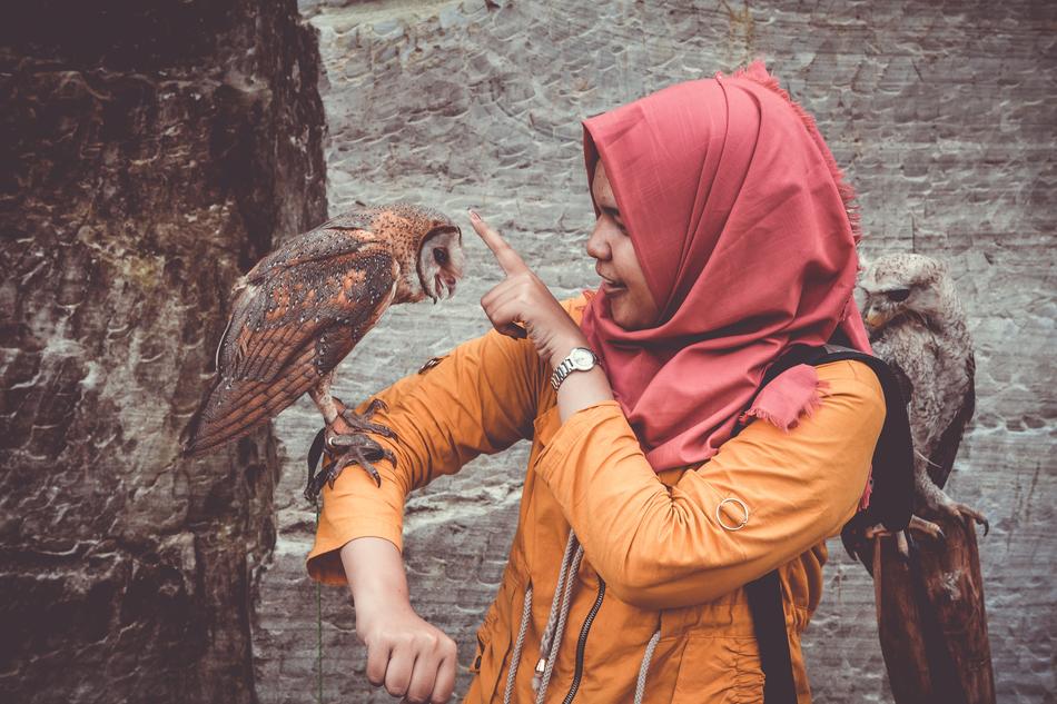 Owls and girl
