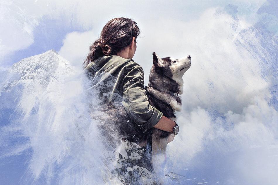 woman with husky dog