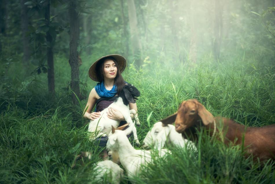 Adult on Goat Farm
