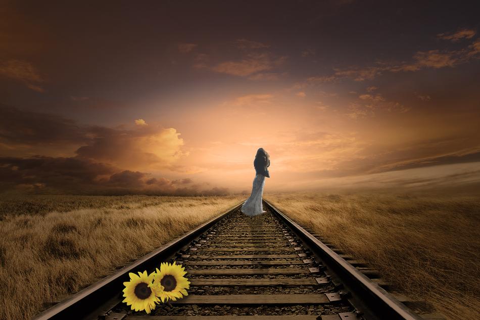 sunflowers and woman on the railroad