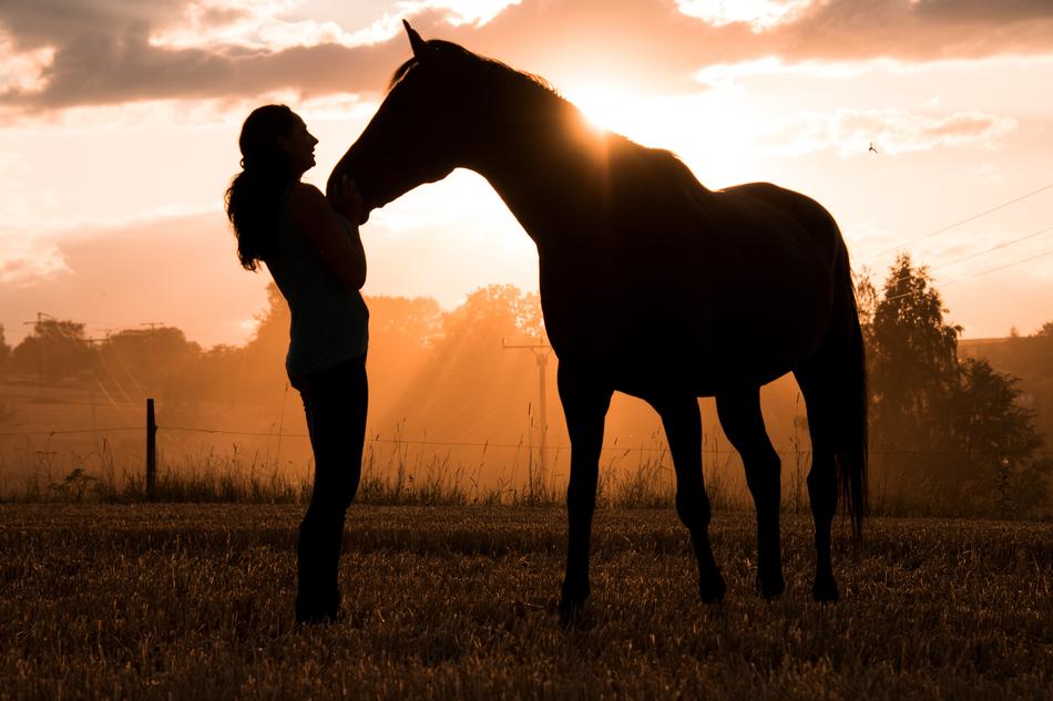 silhouette of a woman with horse at sunset