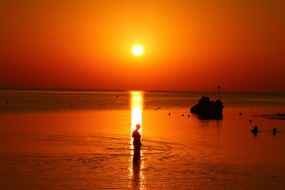 woman stands on the line of the sun against the background of an orange sunset