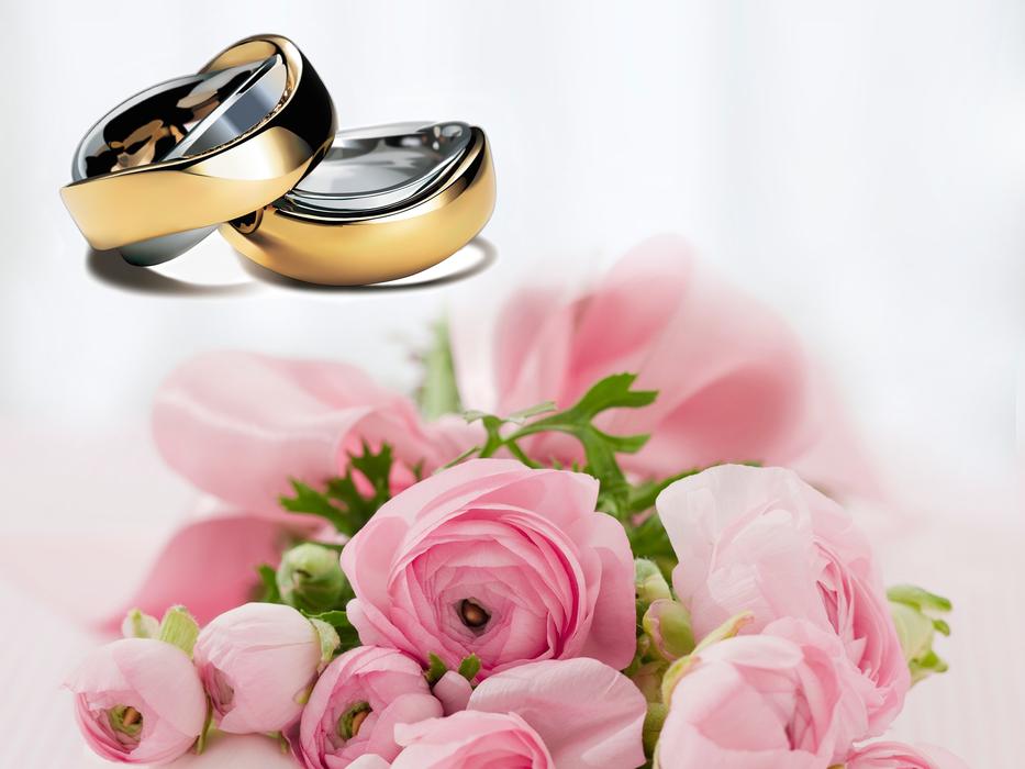 wedding rings and pink ranunculus