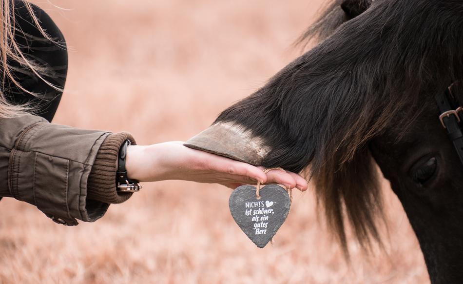 hand and hoof