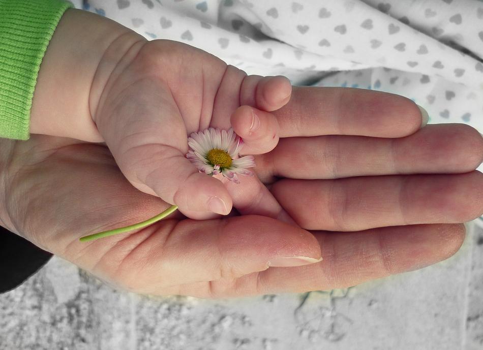 baby Hand with flower on female hand