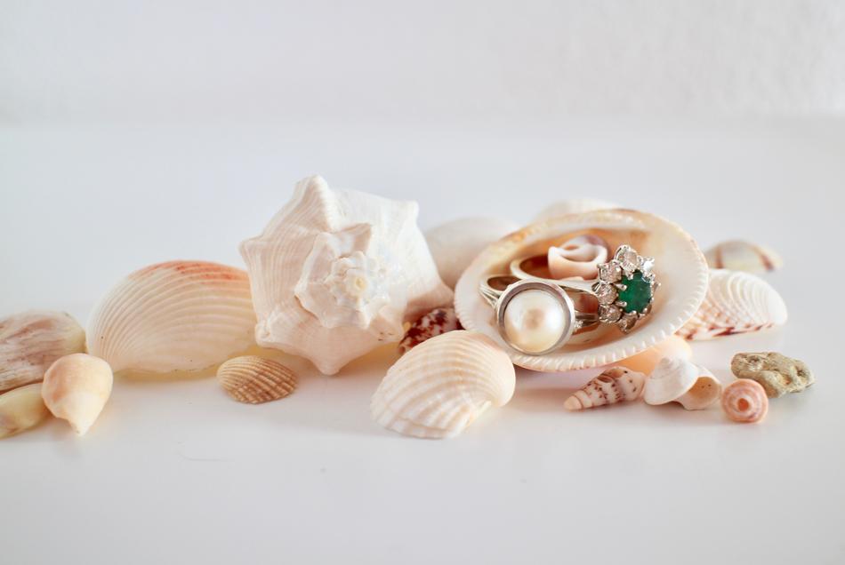 Rings in seashell