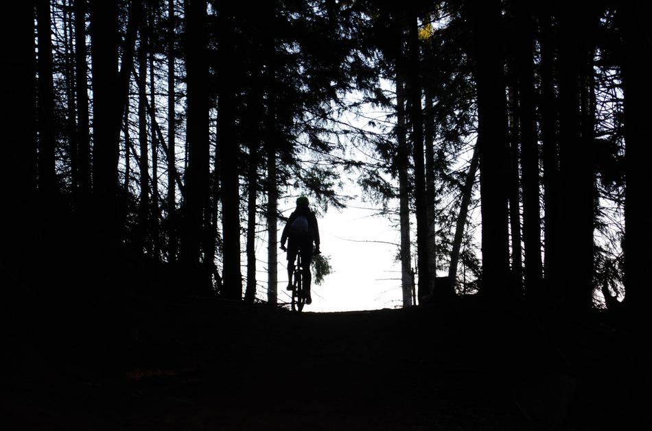 cyclist in the dark forest