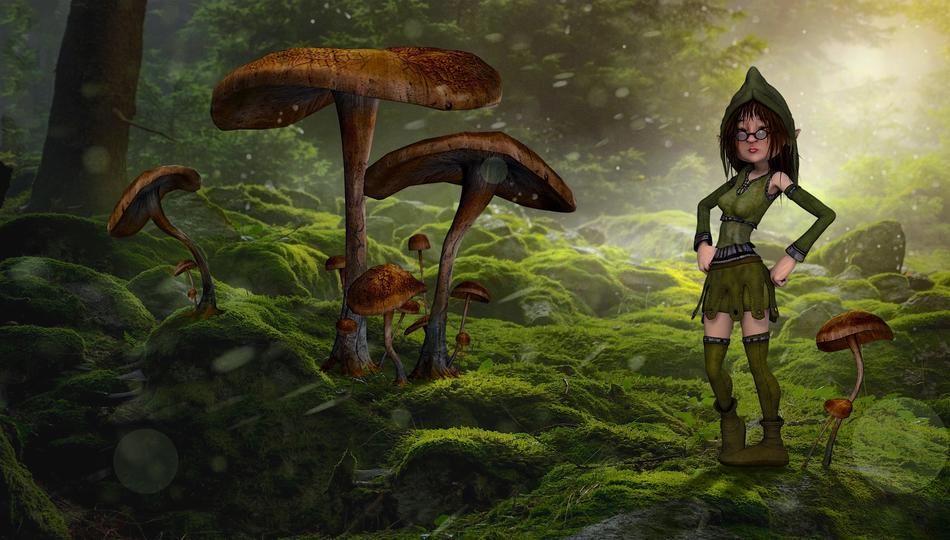 female dwarf in the mushroom forest