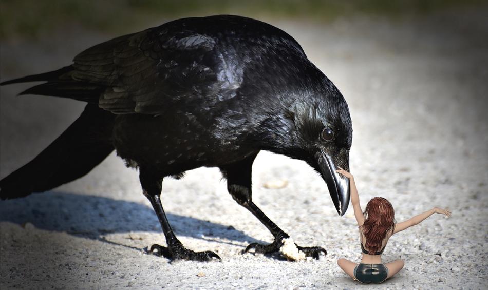portrait of Raven Bird and doll