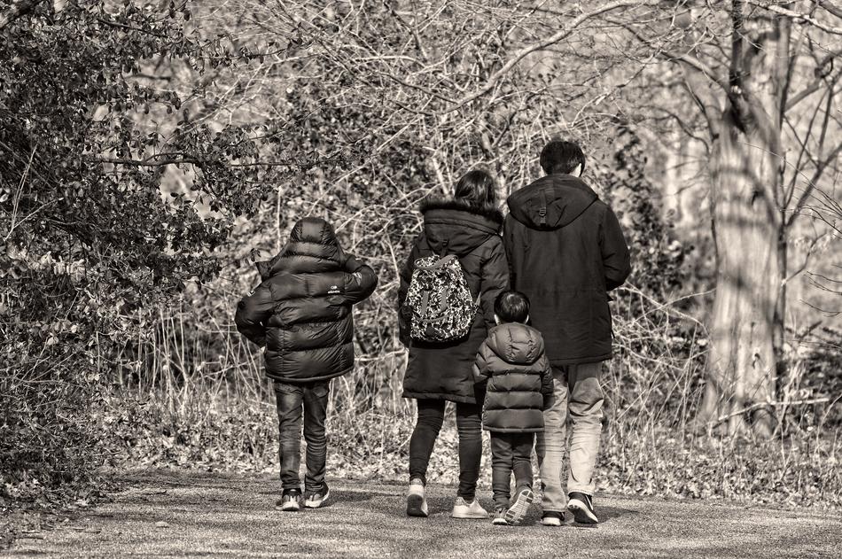 walking around family in the park
