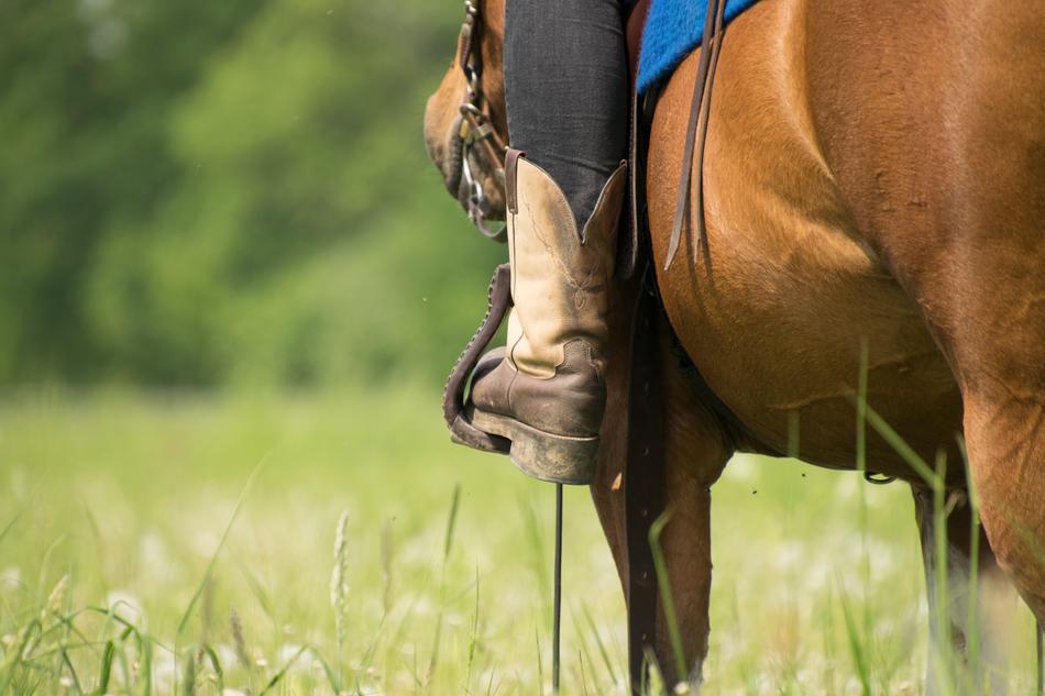 cowboy feet and horse Grass