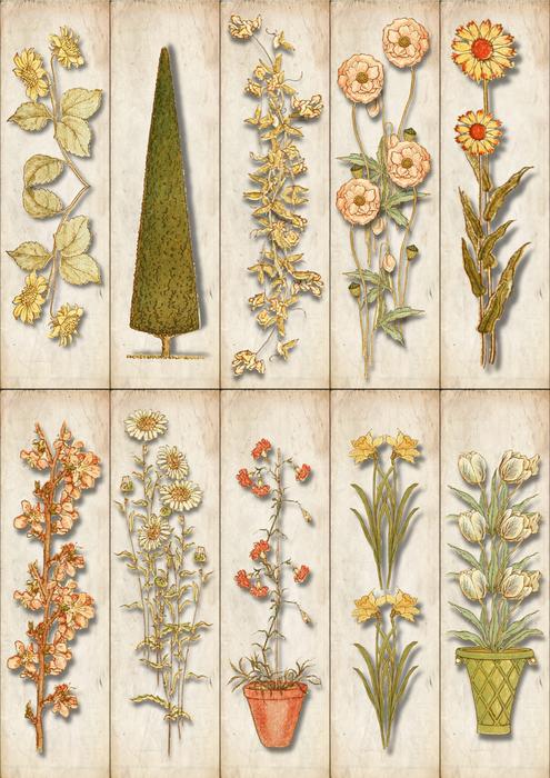 bookmarks with pictures of plants