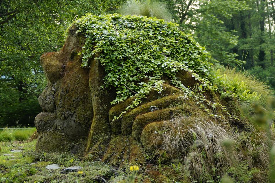 Troll Dwarf Mythical creature hill in the forest