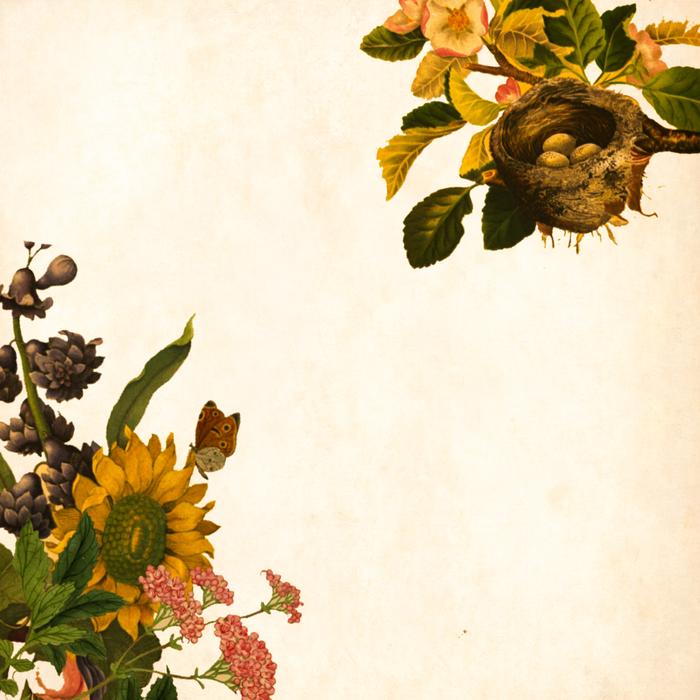 vintage picture with flowers