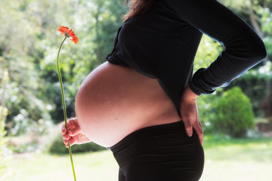 pregnant girl with a flower in her hands