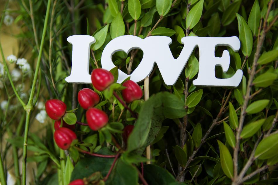 lettering love, green plant with leaves and burgundy berries