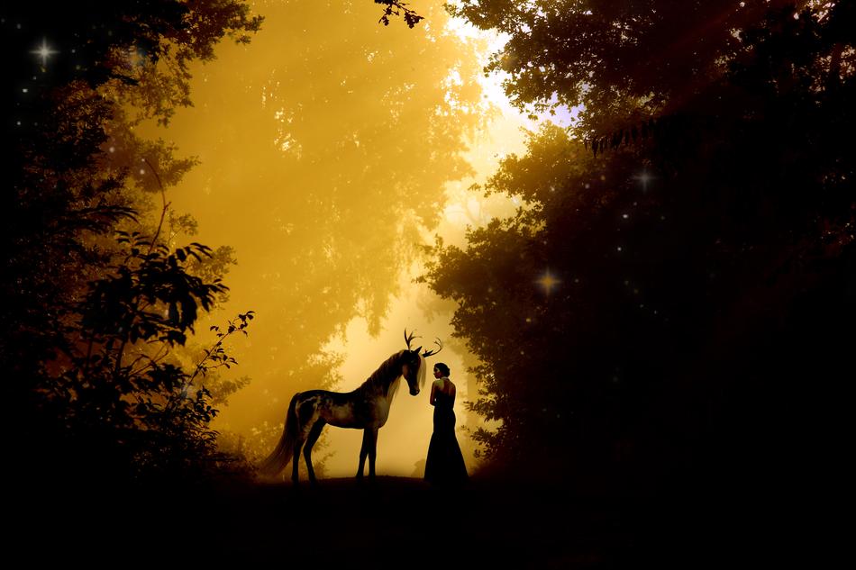 Silhouettes of girl and mystical creature at Dusk