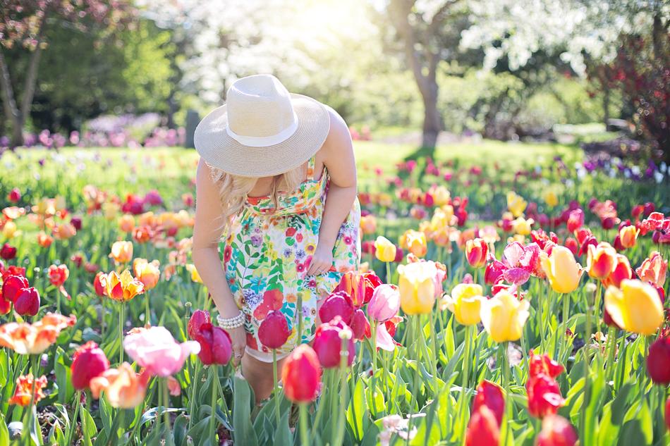 woman on the field of tulips