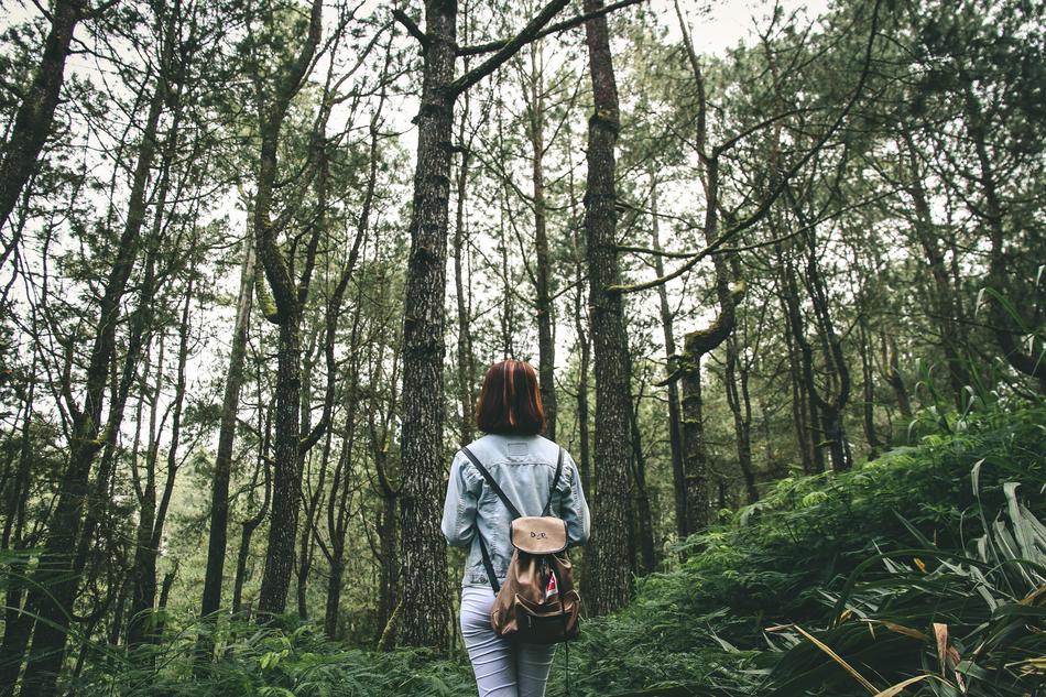 woman with backpack in the forest