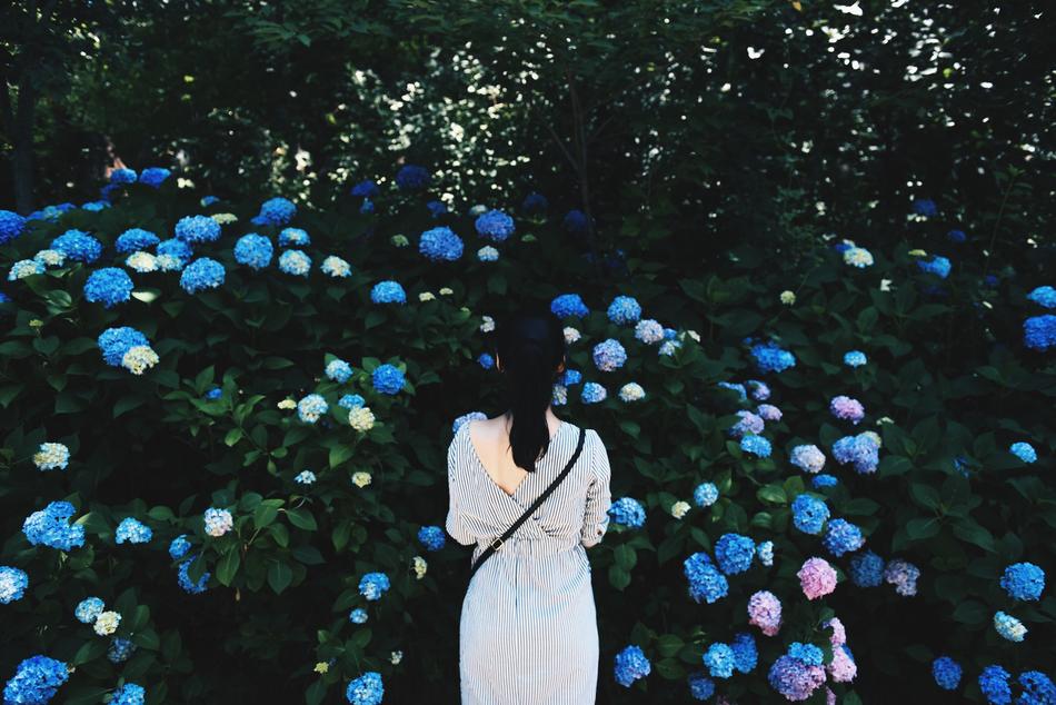 Girl in grey clothing against a background of beautiful blooming blue hydrangeas