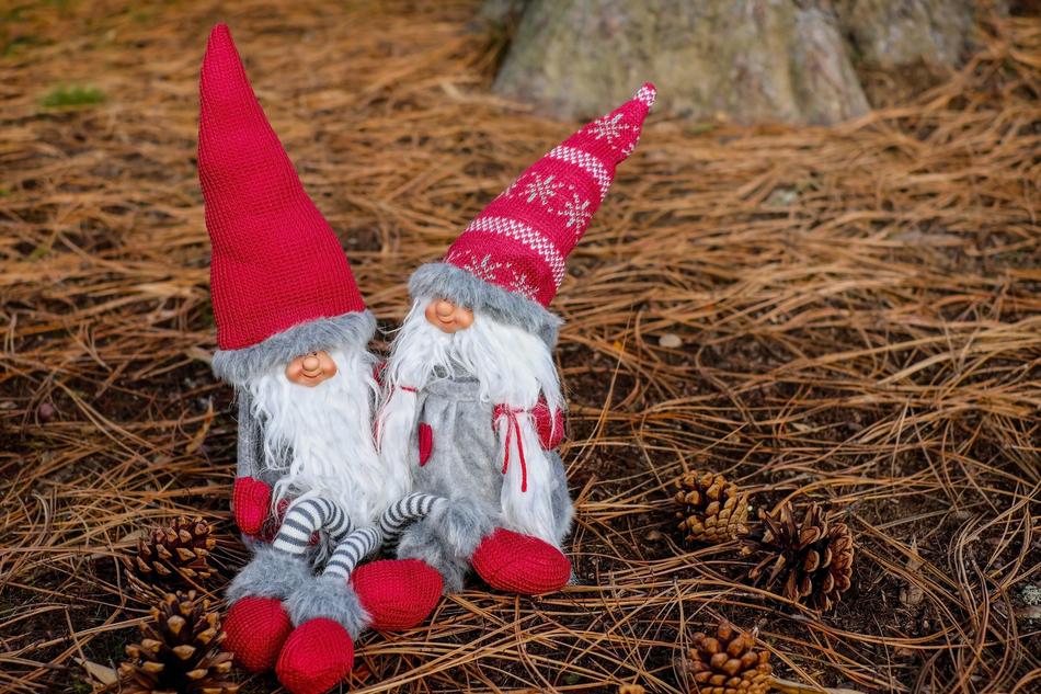 couple of funny christmas gnomes on the forest floor close-up