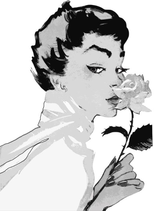woman smelling rose, vintage drawing