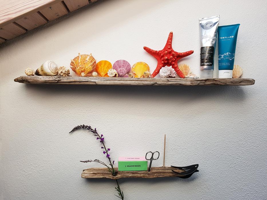 cosmetics and shells on the shelf