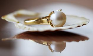 Jewelry Pearl Ring on shell