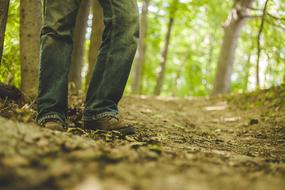 feet forest