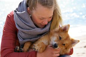 joyful dog with girl
