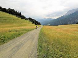 man on the road among the fields