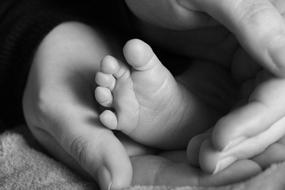 Black and white photo, with the close-up of the cute baby foot in the hands of the parent