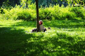green Park Alone person