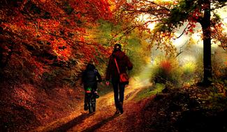 mother and daughter are walking in the autumn forest