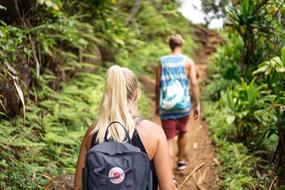hikers in the forest in a blurry background