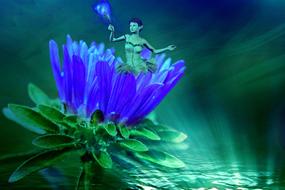 Fairy on the blue flower with green leaves, in lights, clipart