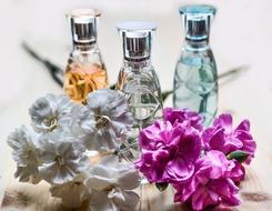 Perfume Glass Bottles