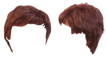 hairstyle model on white background
