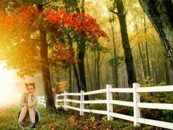 Girl Sitting red tree