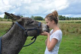 girl kissing a donkey in the pasture