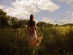 girl in a dress on a summer meadow