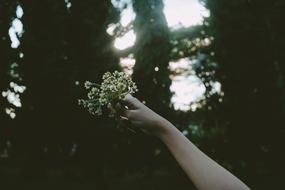 girl with a bouquet in a dark forest