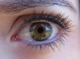Eyelash Eyeball Eyebrow